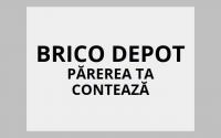 Chestionar Brico Depot 2019