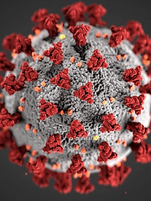 Termografia – o șansă in lupta cu Coronavirus